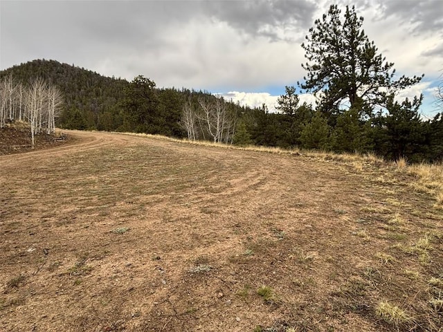287 Warclub Ct, Como, CO 80432 - photo 33