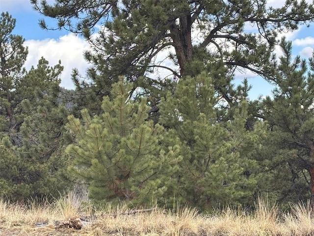 287 Warclub Ct, Como, CO 80432 - photo 29
