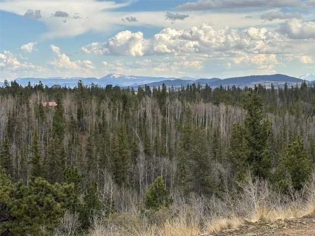 287 Warclub Ct, Como, CO 80432 - photo 30