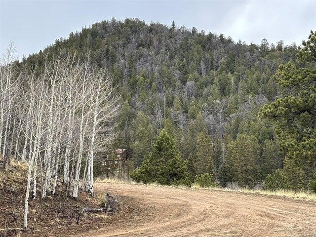 287 Warclub Ct, Como, CO 80432 - photo 16