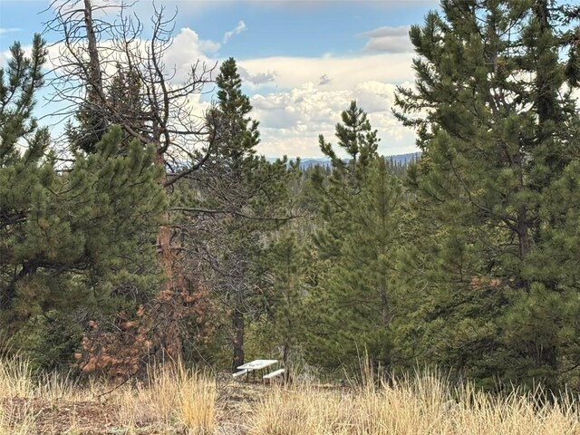 287 Warclub Ct, Como, CO 80432 - photo 28