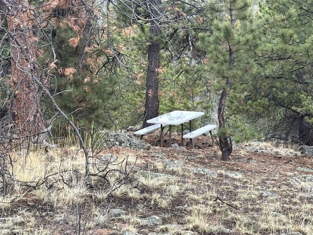 287 Warclub Ct, Como, CO 80432 - photo 14