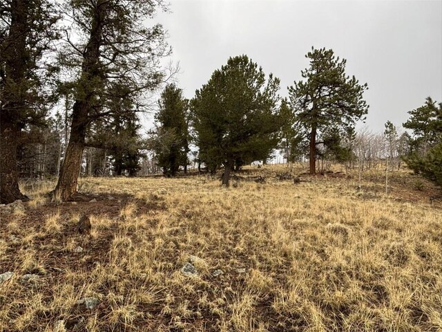 287 Warclub Ct, Como, CO 80432 - photo 7