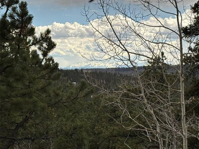287 Warclub Ct, Como, CO 80432 - photo 22