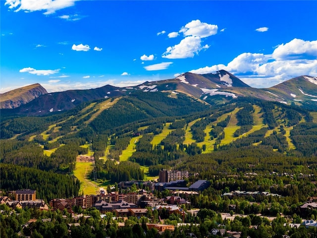 104 N Gold Flake Ter, Breckenridge, CO 80424 - photo 50