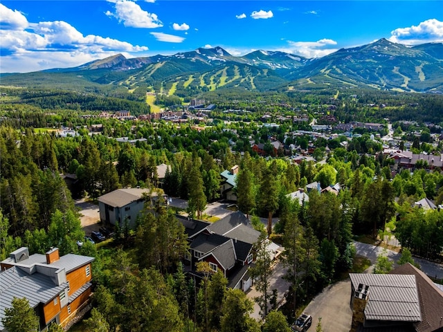 104 N Gold Flake Ter, Breckenridge, CO 80424 - photo 49