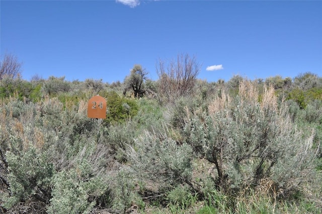 23395 Postrider Trl, Oak Creek, CO 80467