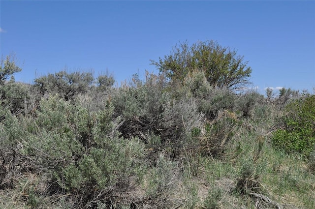 23395 Postrider Trl, Oak Creek, CO 80467