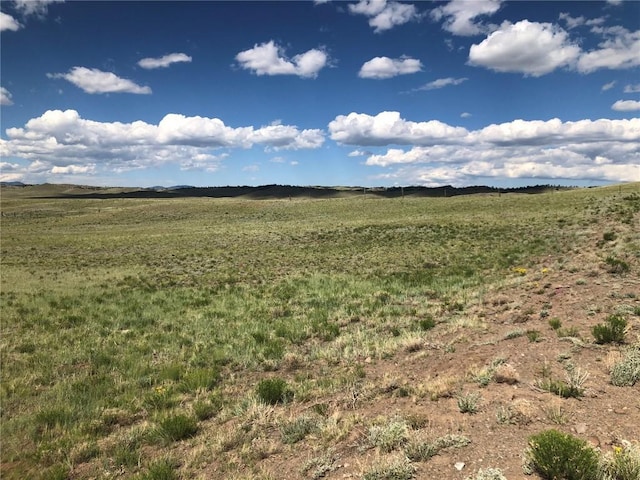 4913 Kinkehee Trl, Hartsel, CO 80449