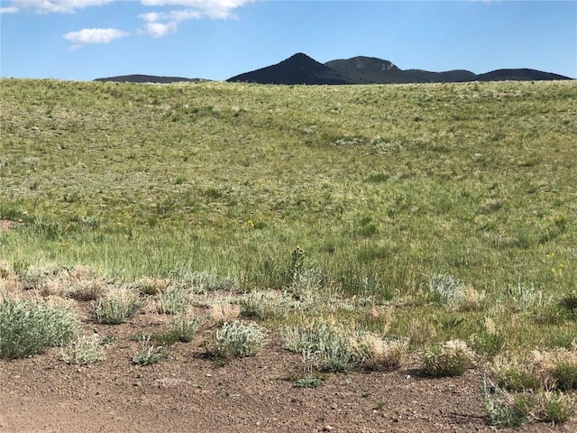 4913 Kinkehee Trl, Hartsel, CO 80449