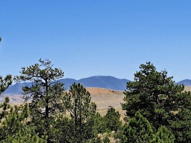 550 Woroka Trl, Hartsel, CO 80449
