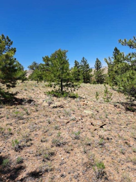 550 Woroka Trl, Hartsel, CO 80449
