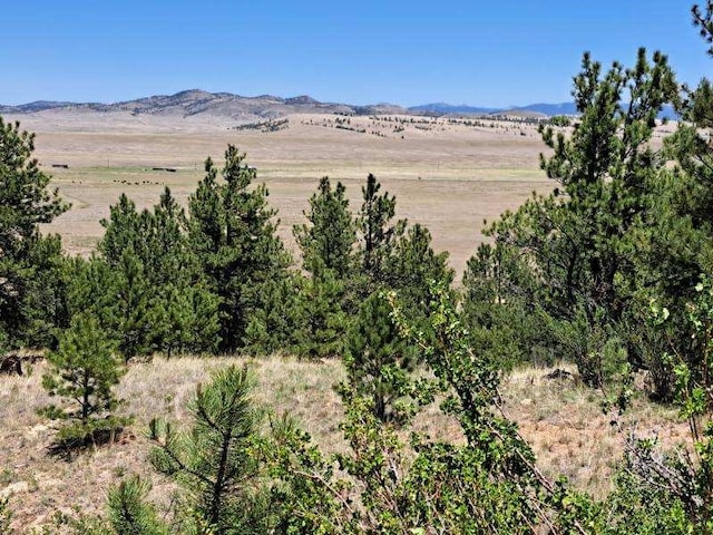 550 Woroka Trl, Hartsel, CO 80449