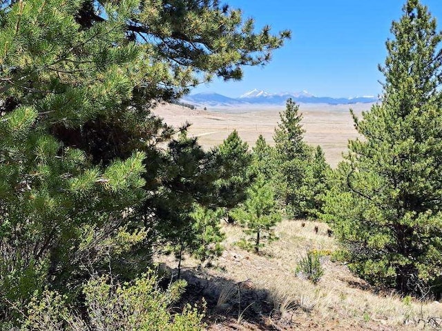 550 Woroka Trl, Hartsel, CO 80449