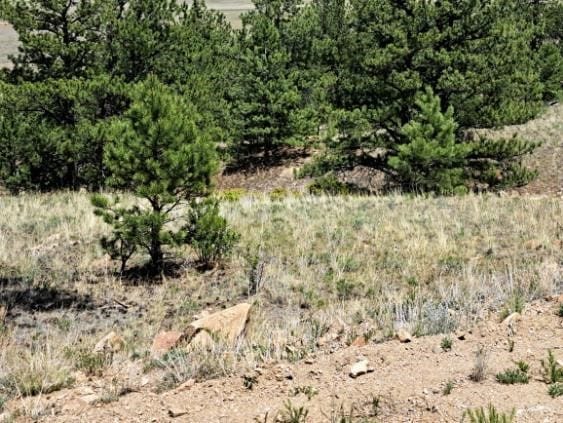 550 Woroka Trl, Hartsel, CO 80449