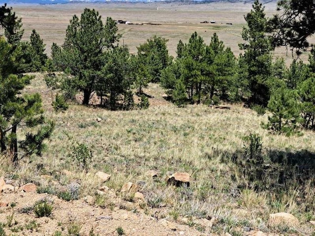 550 Woroka Trl, Hartsel, CO 80449