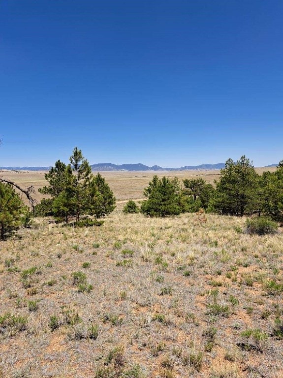 550 Woroka Trl, Hartsel, CO 80449
