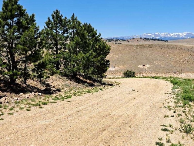 550 Woroka Trl, Hartsel, CO 80449