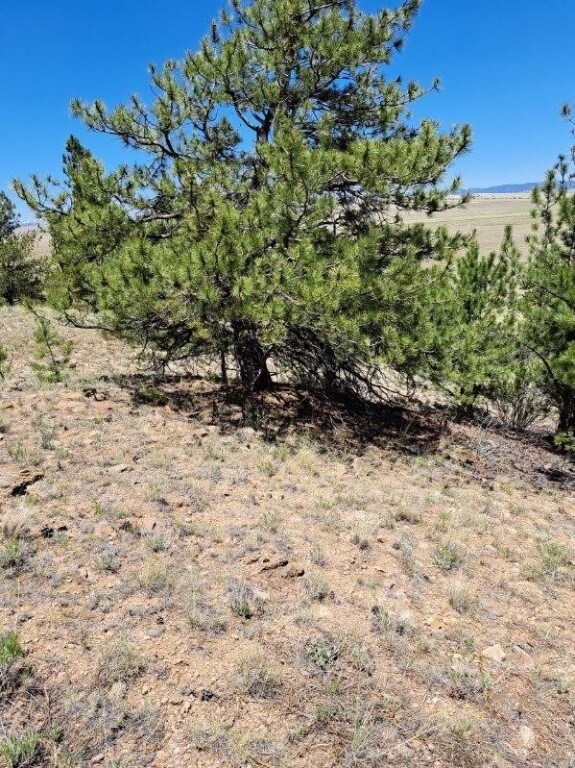 550 Woroka Trl, Hartsel, CO 80449