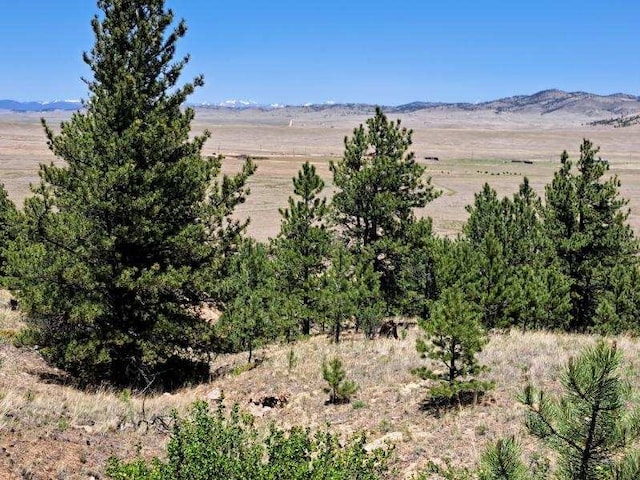 550 Woroka Trl, Hartsel, CO 80449