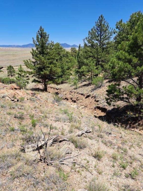 550 Woroka Trl, Hartsel, CO 80449