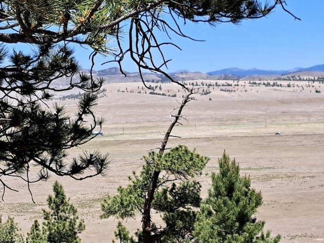550 Woroka Trl, Hartsel, CO 80449