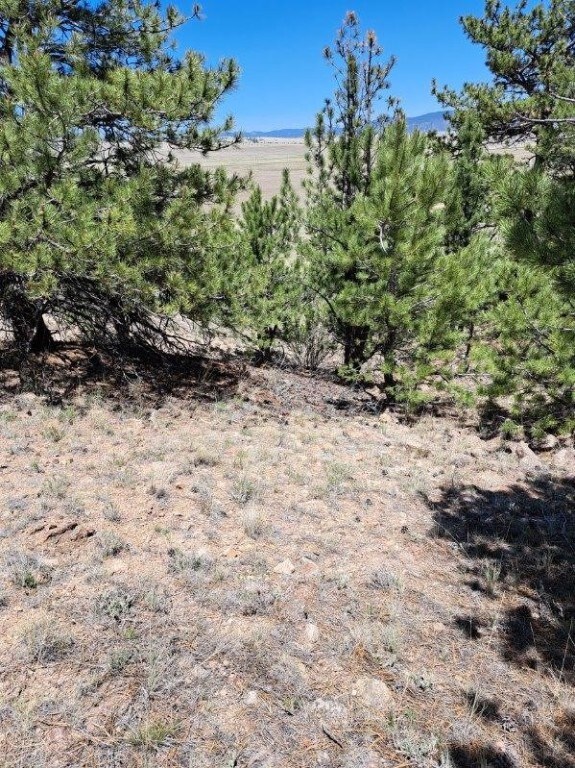 550 Woroka Trl, Hartsel, CO 80449