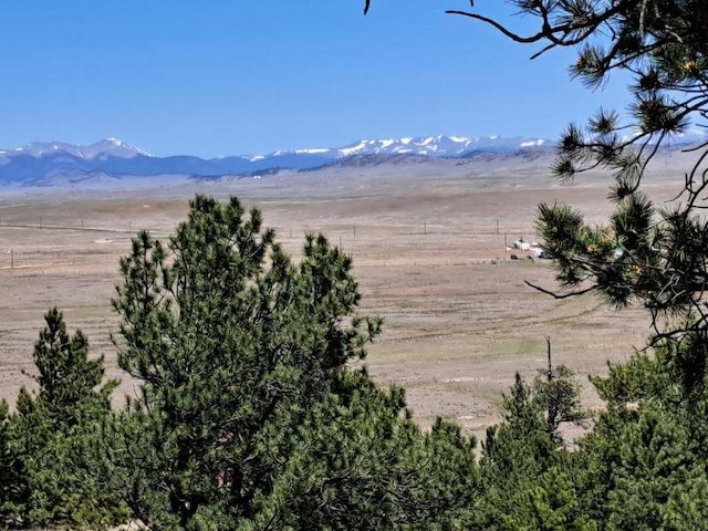550 Woroka Trl, Hartsel, CO 80449