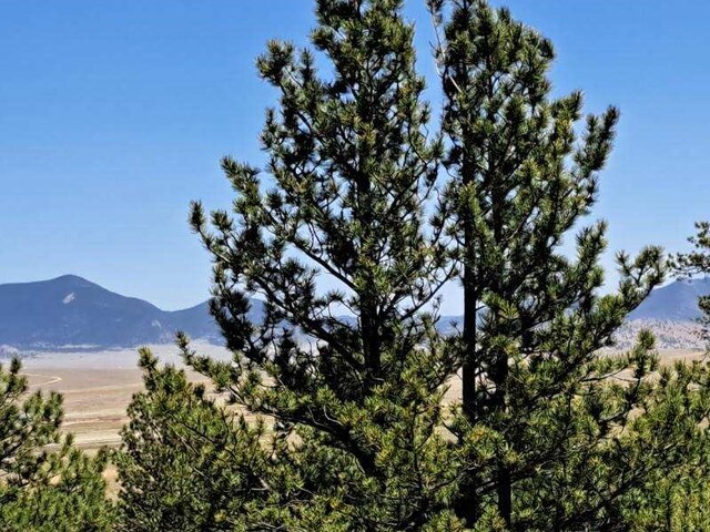 550 Woroka Trl, Hartsel, CO 80449