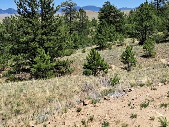 550 Woroka Trl, Hartsel, CO 80449