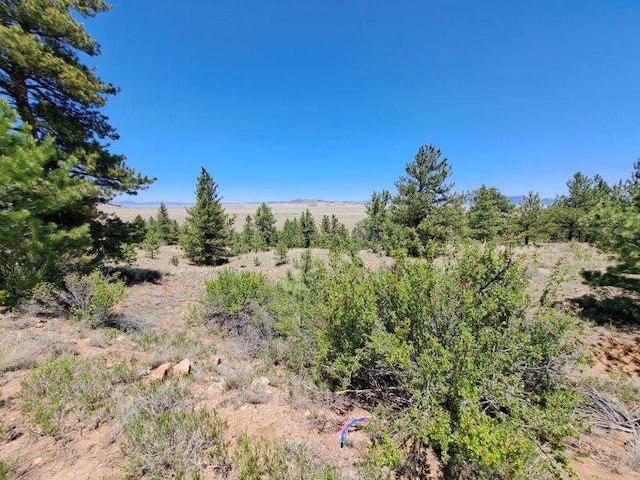 550 Woroka Trl, Hartsel, CO 80449