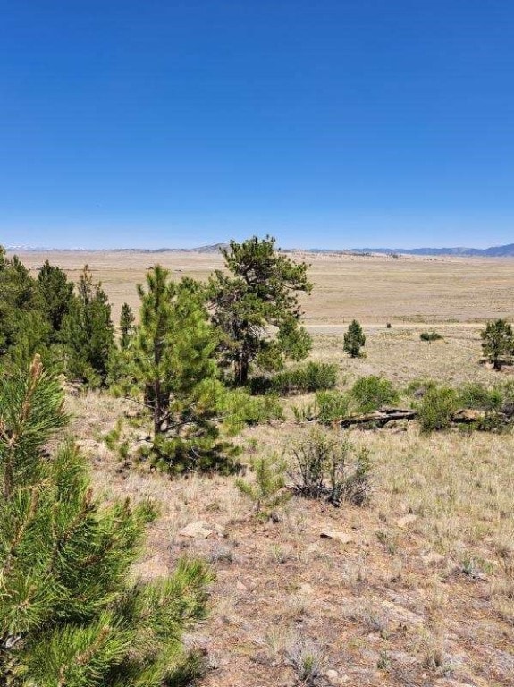 550 Woroka Trl, Hartsel, CO 80449