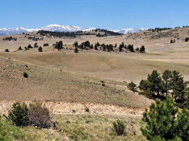550 Woroka Trl, Hartsel, CO 80449