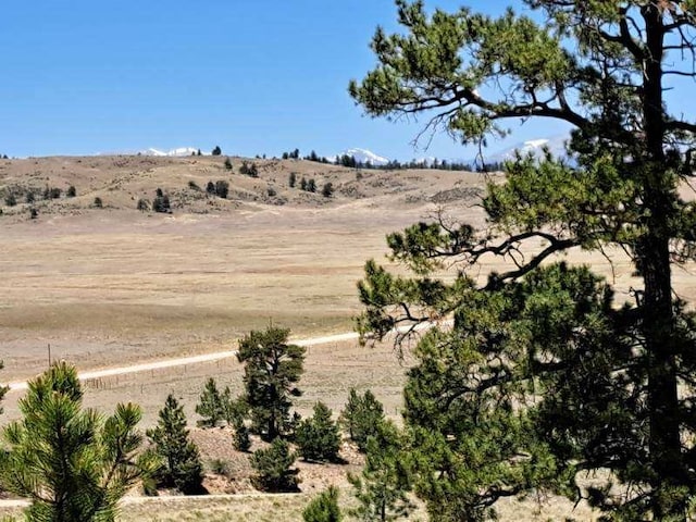 550 Woroka Trl, Hartsel, CO 80449