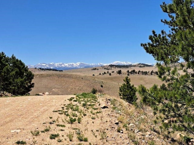 550 Woroka Trl, Hartsel, CO 80449