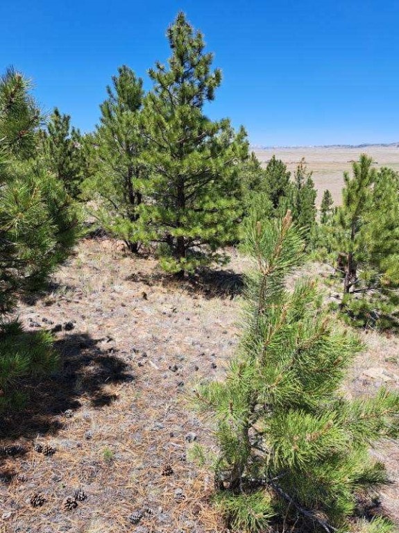 550 Woroka Trl, Hartsel, CO 80449