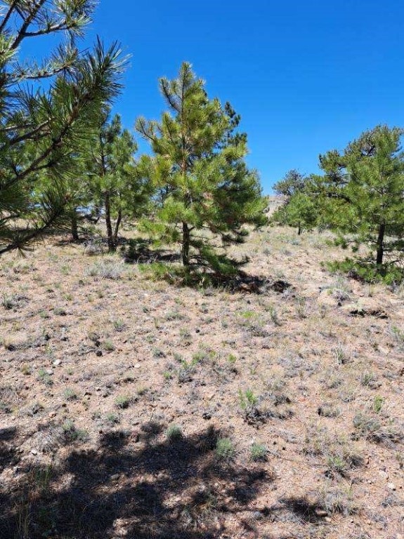 550 Woroka Trl, Hartsel, CO 80449