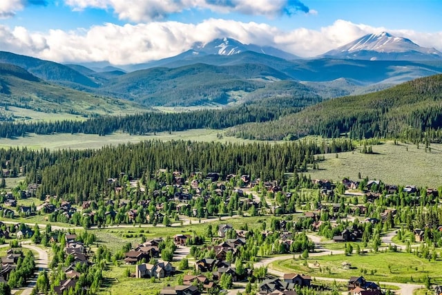 12 Raindance Trl, Dillon, CO 80435 - view of mountain backdrop with a heavily wooded area