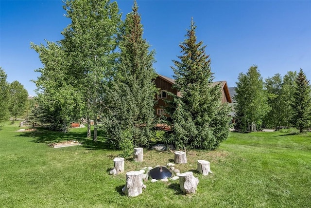 12 Raindance Trl, Dillon, CO 80435 - view of green lawn