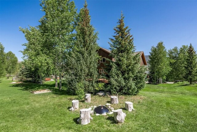 12 Raindance Trl, Dillon, CO 80435 - photo 18