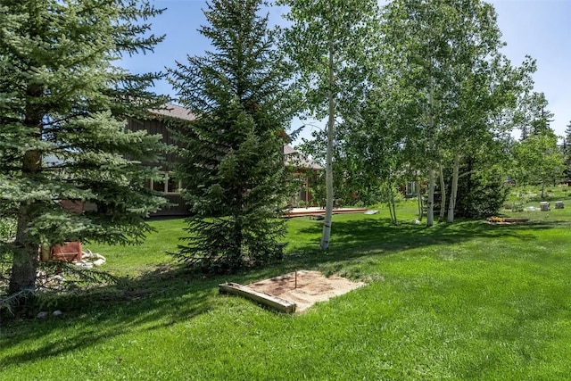 12 Raindance Trl, Dillon, CO 80435 - view of grassy yard