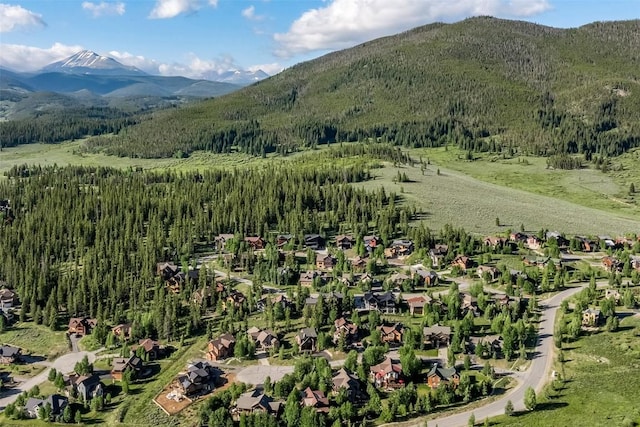 12 Raindance Trl, Dillon, CO 80435 - view of mountain backdrop featuring a forest