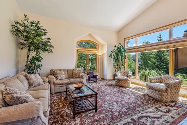 12 Raindance Trl, Dillon, CO 80435 - living area with high vaulted ceiling