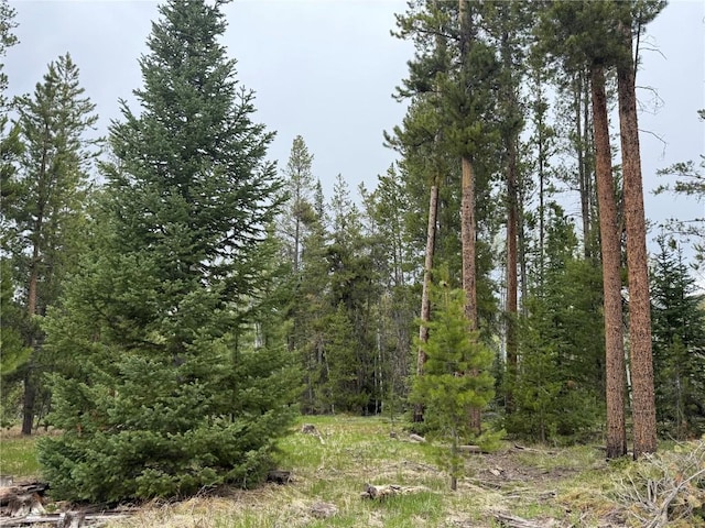 33435 Filly Trl, Oak Creek, CO 80467