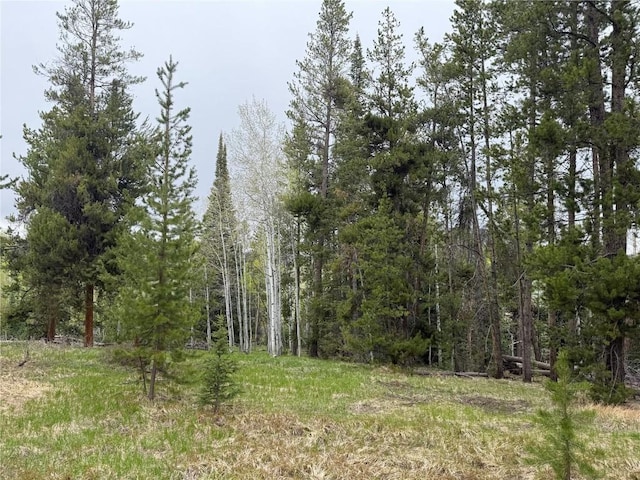 33435 Filly Trl, Oak Creek, CO 80467