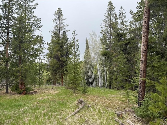 33435 Filly Trl, Oak Creek, CO 80467