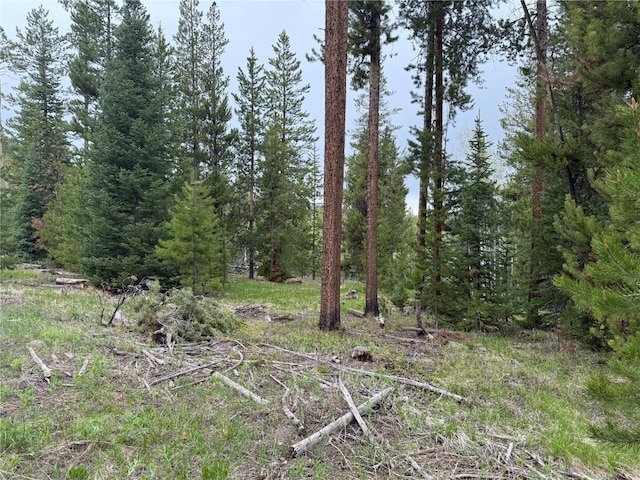 33435 Filly Trl, Oak Creek, CO 80467