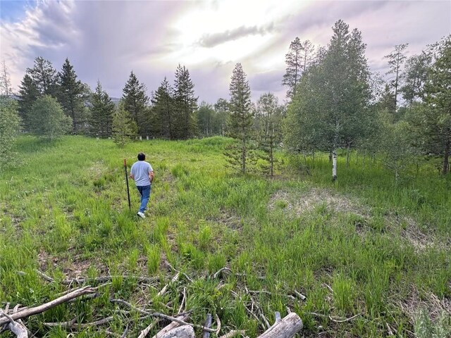 21095 Stampede Way, Oak Creek, CO 80467 - photo 4