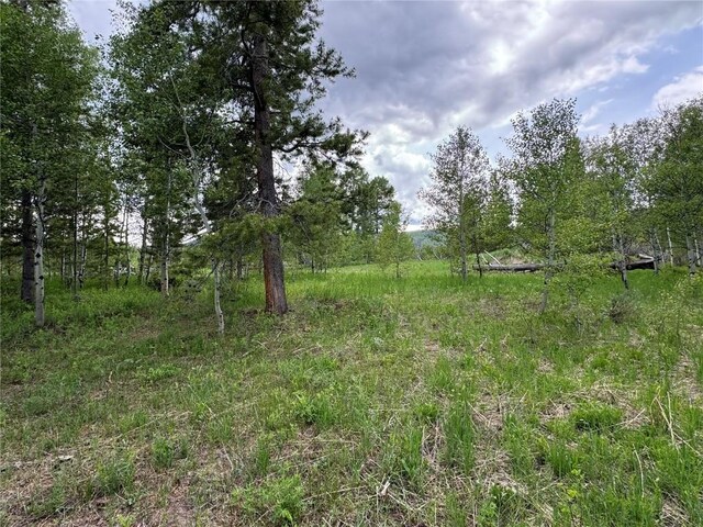 21095 Stampede Way, Oak Creek, CO 80467 - photo 1