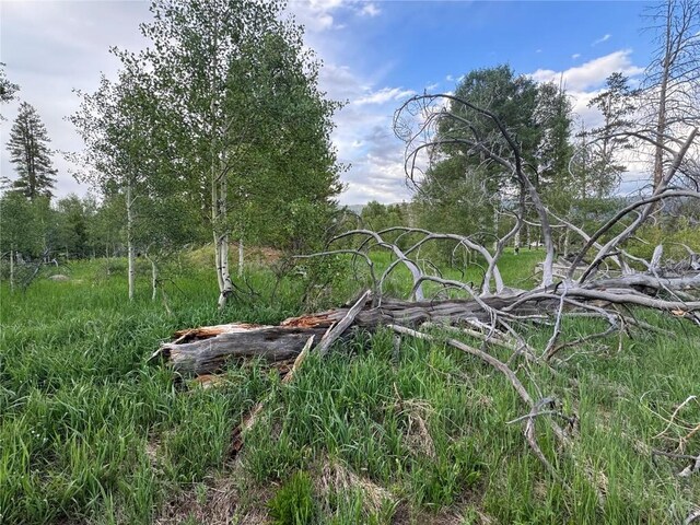 21095 Stampede Way, Oak Creek, CO 80467 - photo 3